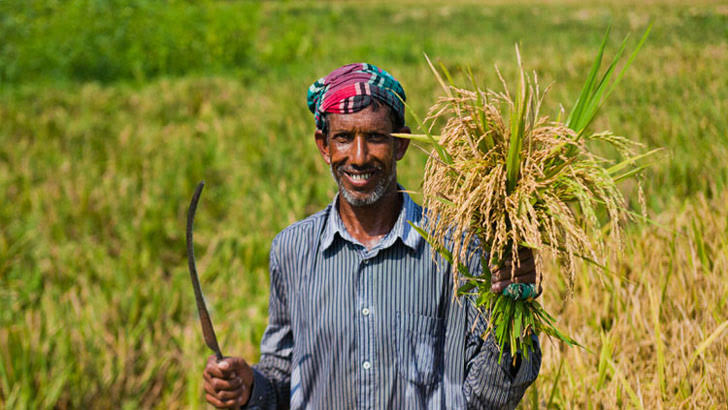 Main News Image