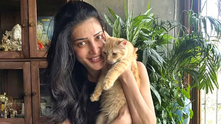 কেন পোষ্য বিড়াল 'আসলান'কে ছাড়লেন শ্রুতি হাসান
